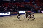 Quadrille - 00324